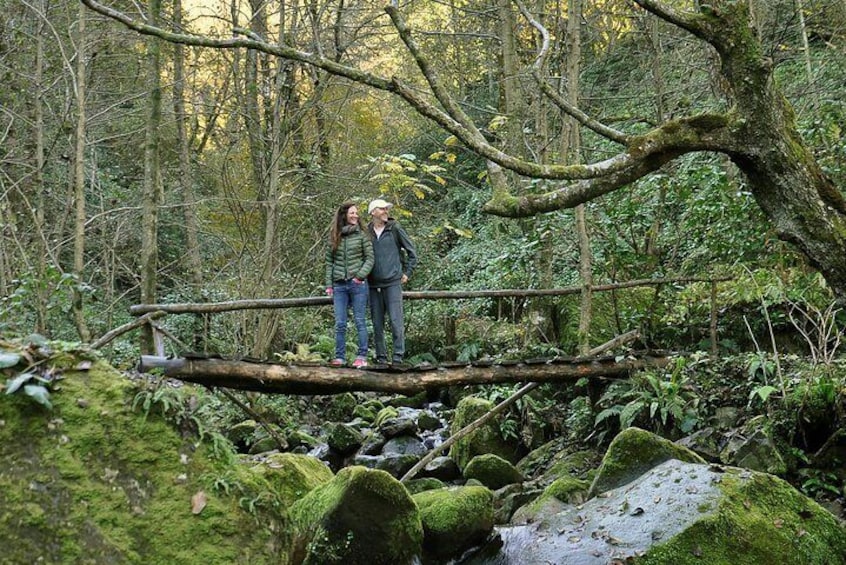 Private Hiking Tour to Mtirala National Park from Batumi