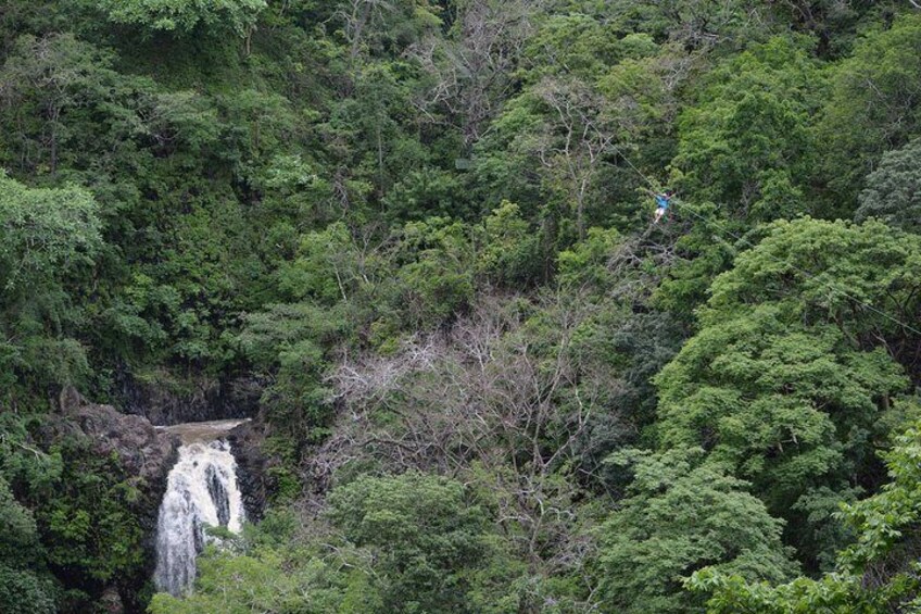 WRCT Adventures - Zip-line Tour (Private)