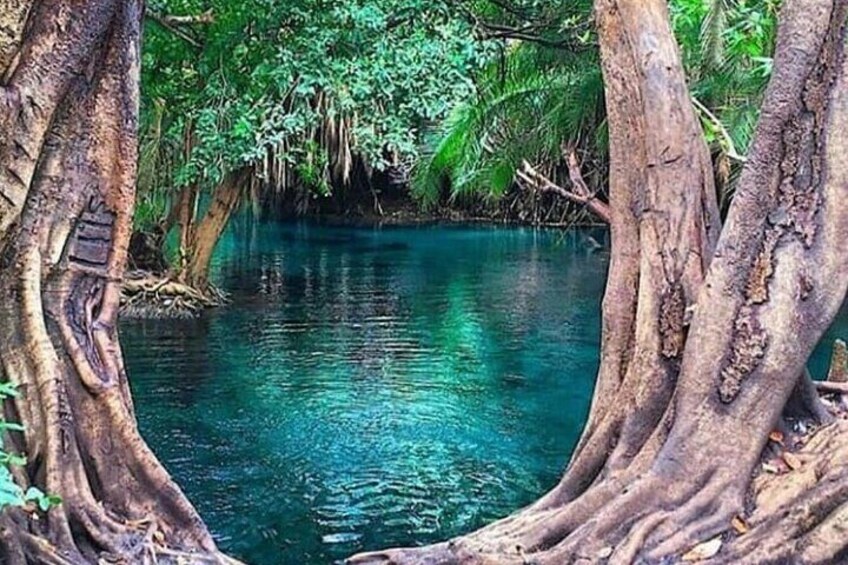 hot spring view