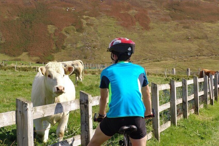 Meeting the locals