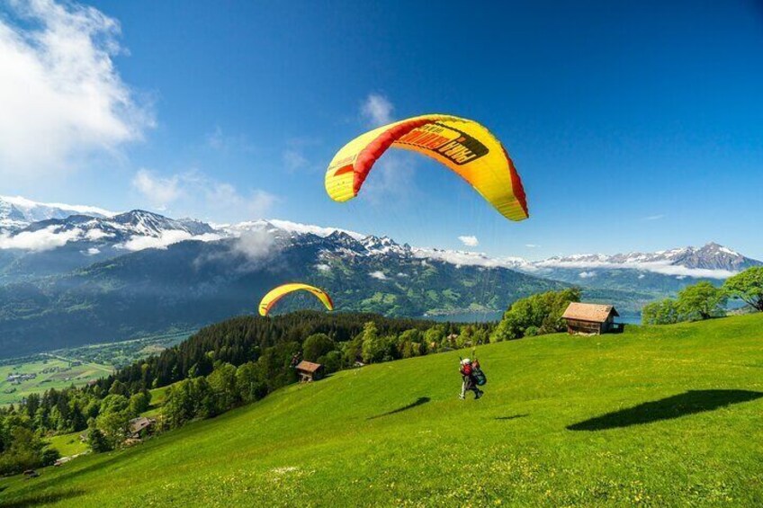 Tandem Paragliding Experience from Interlaken