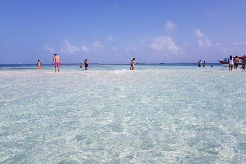 Natural Pools