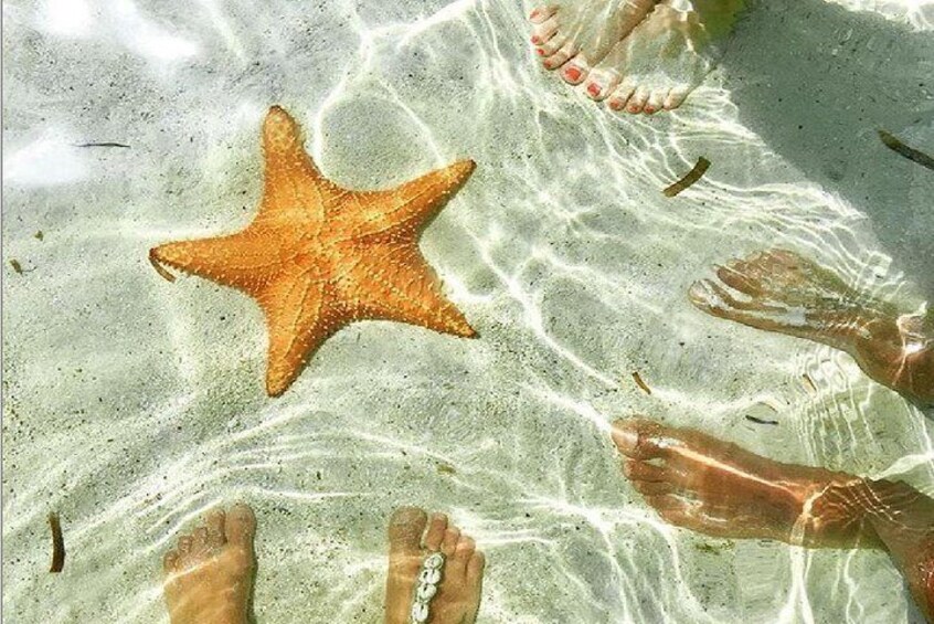 All inclusive San Blas 4 Islands Day Tour No hidden fees