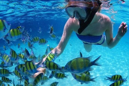 Full-Day SAN BLAS ISLAND & Snorkeling Tour + Transport from Panama City