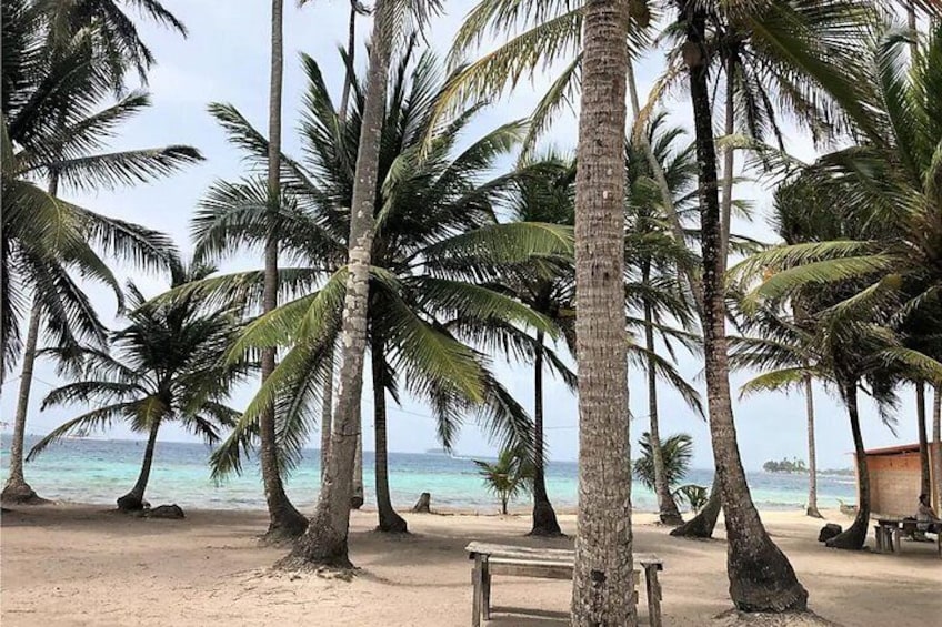 Show item 4 of 20. Visit San Blas Islands in a Day Tour and Snorkeling experience with 4 spots
