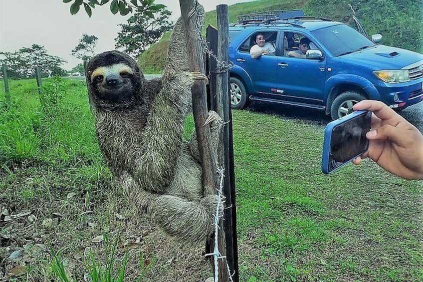 On the road to San Blas, making a stop for wildlife encounters!