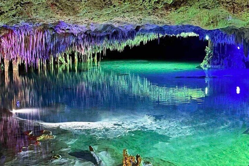 Cenote Exploration Tour - Mayan culture & ancient fossils & FUN!