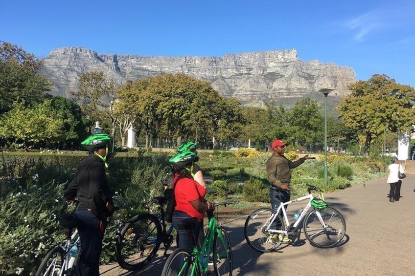 Company Gardens below Table Mountain