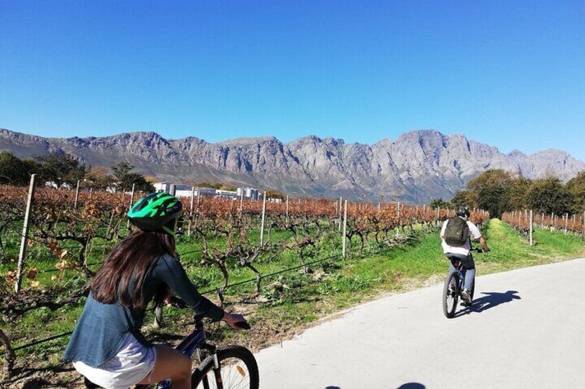 Franschhoek Experience Half Day - Private Tour