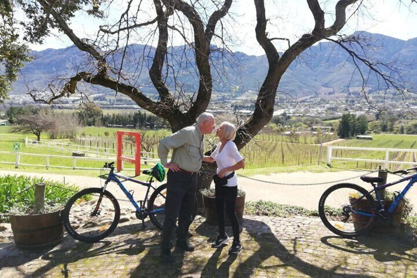 Franschhoek Experience Half Day - Private Tour