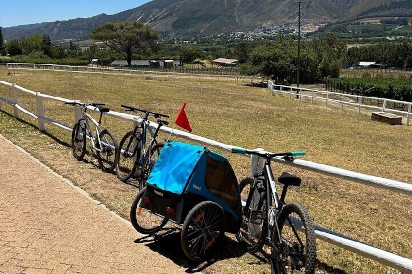 Franschhoek Sip & Cycle Experience Full Day - Private Tour