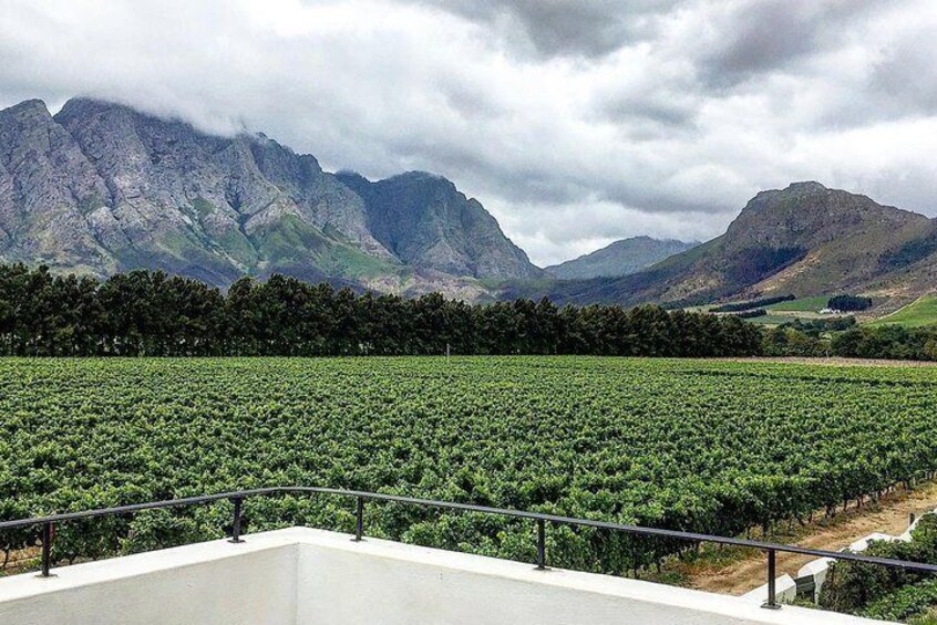 Franschhoek Experience Full Day - Private Tour