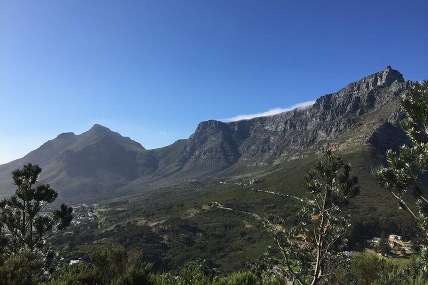 Table Mountain Hike - Private Tour