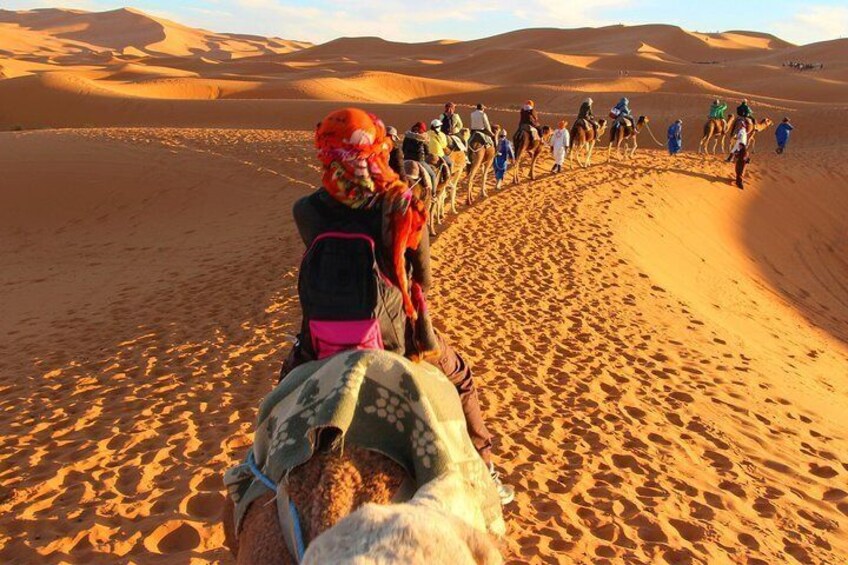 Merzouga Camel trecking