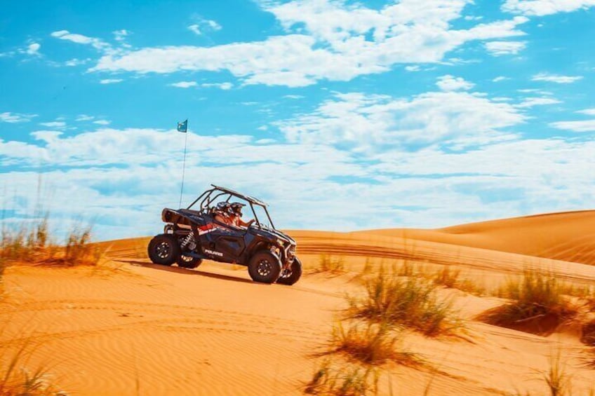 Sand Hollow Dunes