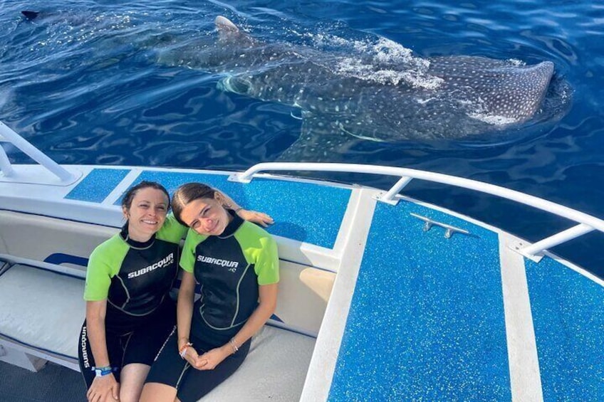 Whale Shark Tour from Cancun, Playa del Carmen, Tulum and Riviera Maya