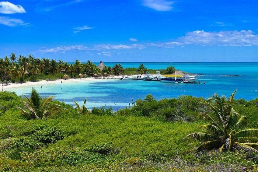 Contoy Island - Isla Mujeres Trips