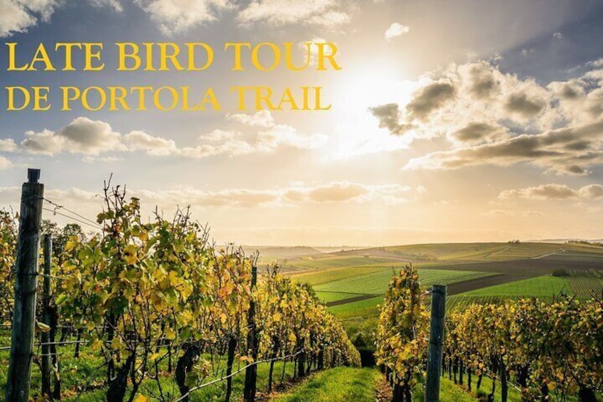 WINE TOUR (DAILY) & LATE BIRD TOUR (SAT ONLY)