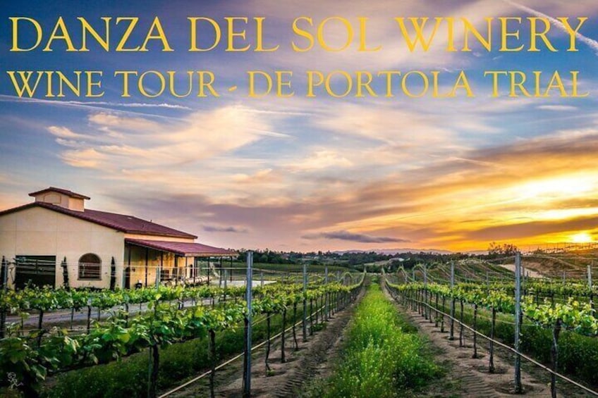 WINE TOUR (DAILY)