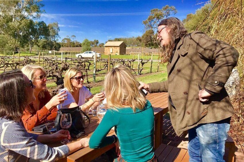 Mclaren Vale Luxury Full Day Small Group Wine Tour
