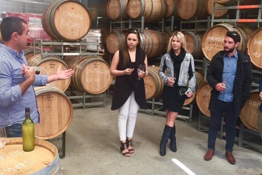 Mclaren Vale Luxury Full Day Small Group Wine Tour