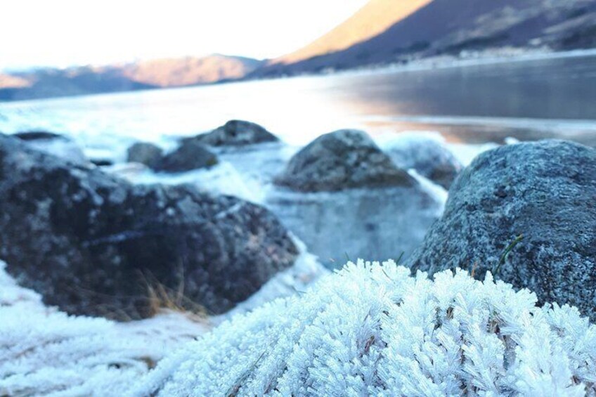 Arctic fjord and Landscape Tour