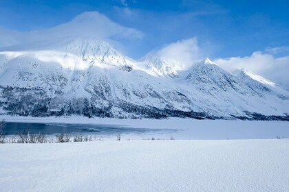 Arctic fjord and Landscape Tour