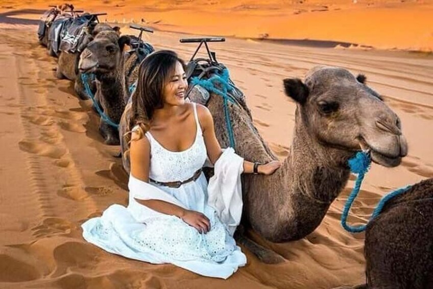 Overnight Desert Tour from Fez with Camel Ride and Desert Camp