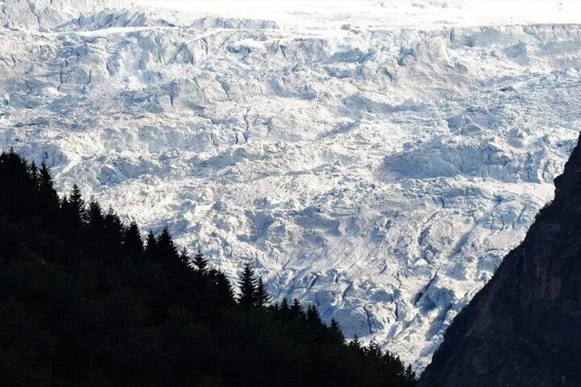 Fjord and Glacier Tours - Balestrand