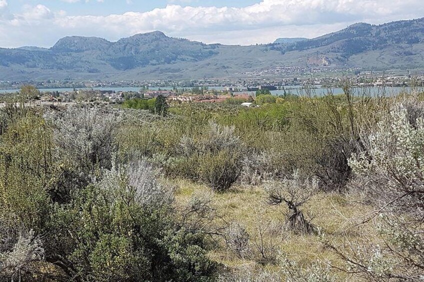 South Okanagan Desert Tour