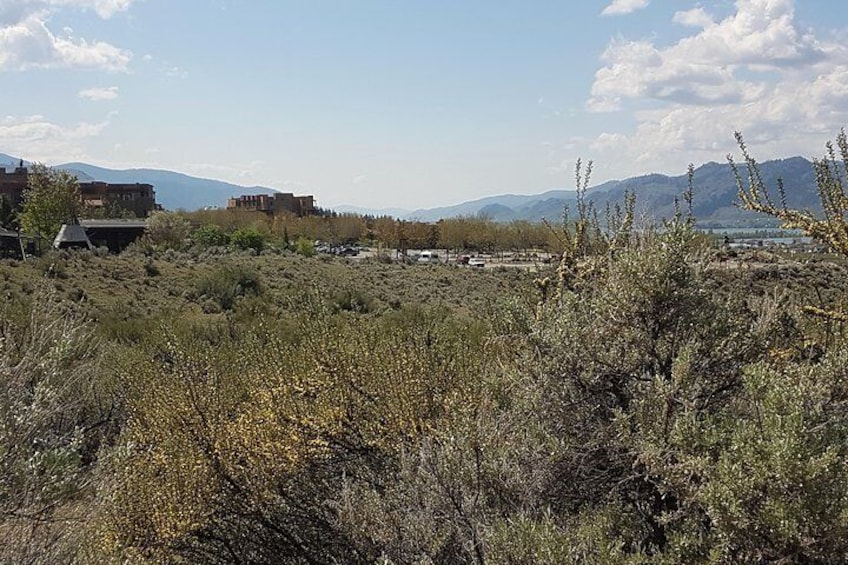 South Okanagan Desert Tour