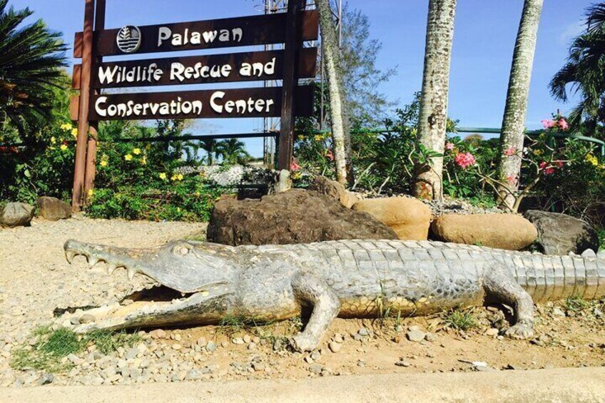 Private Puerto Princesa City Tour