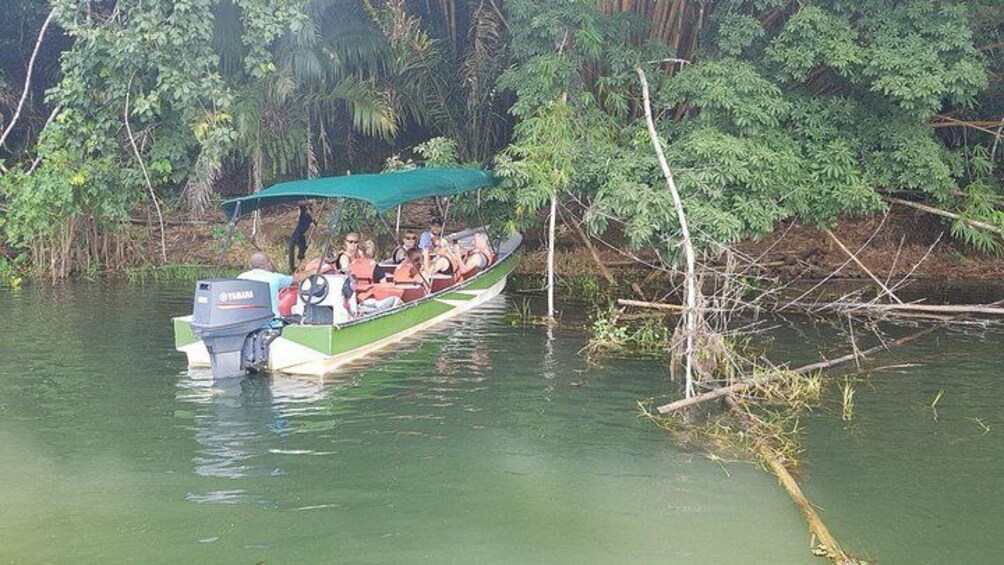 Gatun Lake Islands