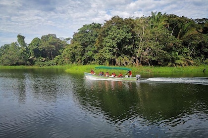 5 Hr Combo-Panama Canal boat ride+Monkey Isles+Rainforest walk & Local Brea...