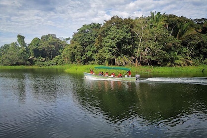 5hr Combo-Panama Canal Boat Safari & Jungle Walk w/ Local Brunch