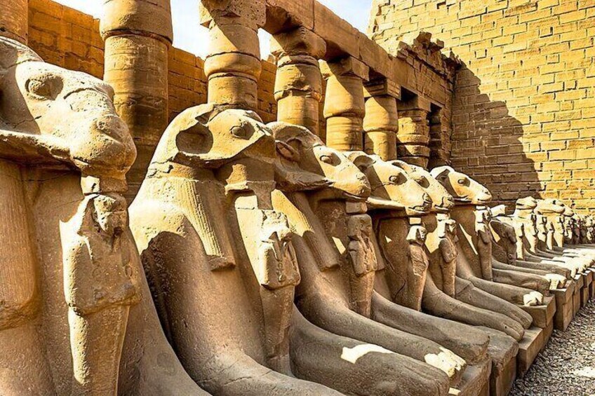 Amazing 4-Day 3-Night Nile Cruise from Aswan to Luxor With Balloon and Tours