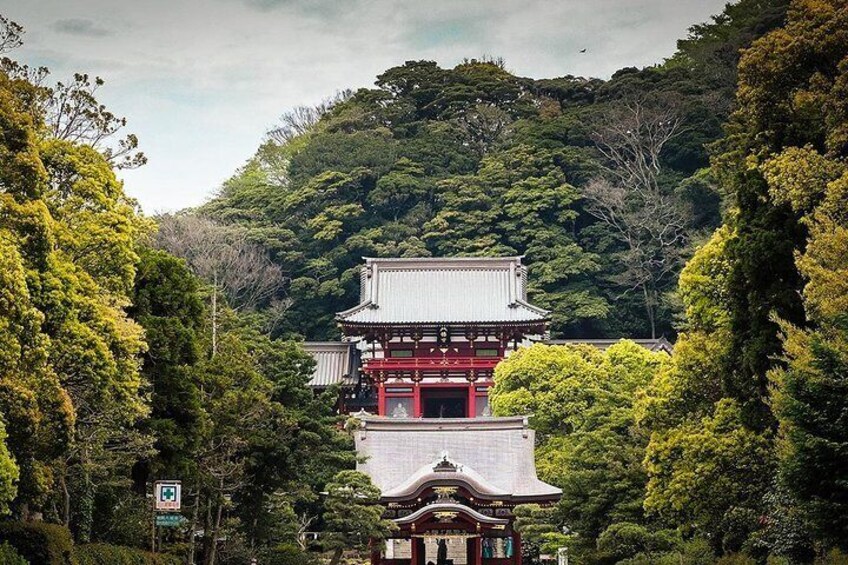 Tsurugaoka Hachiman-gu Shrine