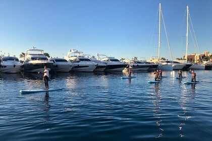 SUP Excursion in Palma