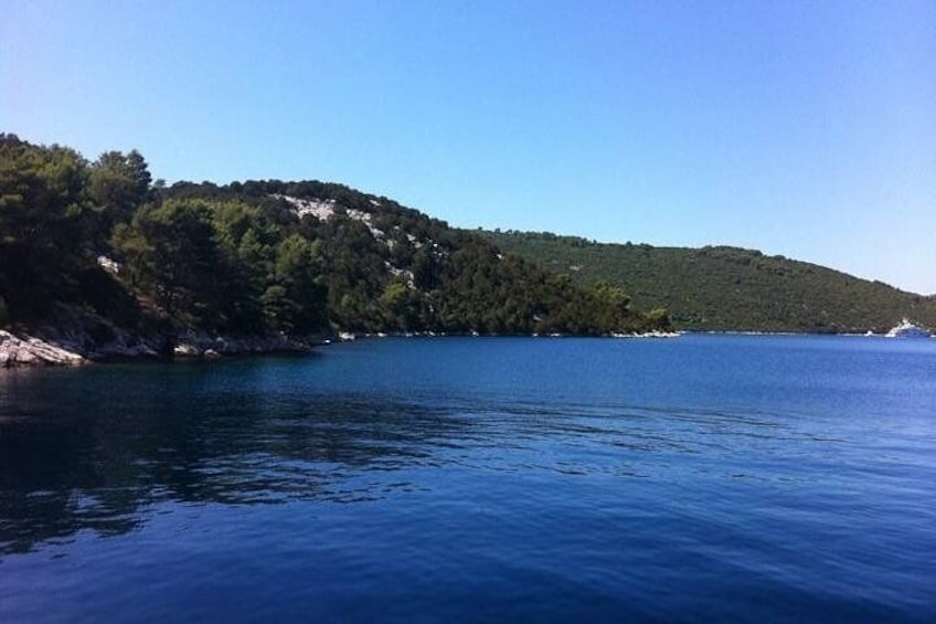 Sea & woods