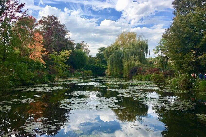 Lily Pond