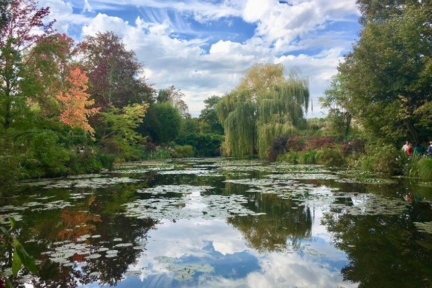 Lily's Pond