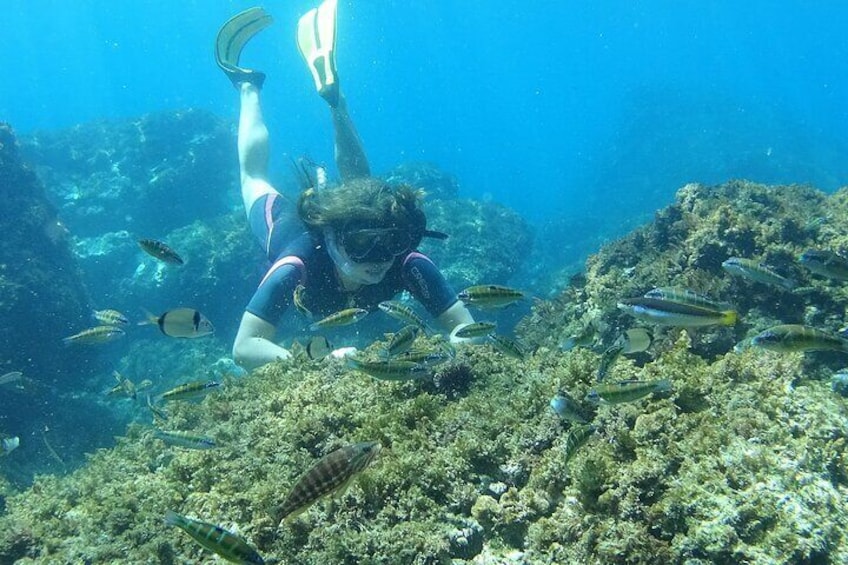 Kayak & Snorkel Tour in Cerro Gordo Natural Park, La Herradura