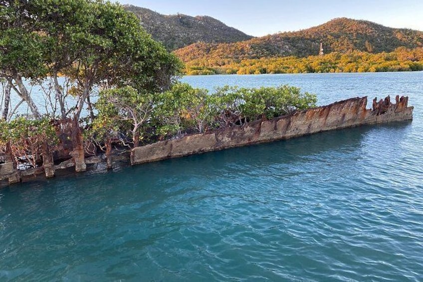 Show item 5 of 10. Aquascene Magnetic Island Discovery Tour