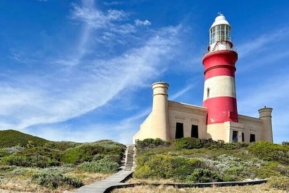 Cape Agulhas heldags privat tur