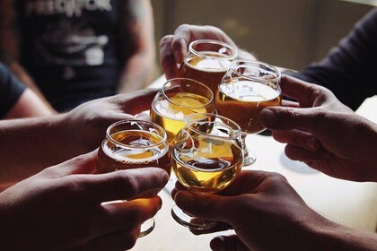 Belgrade Craft Beer Tasting Tour