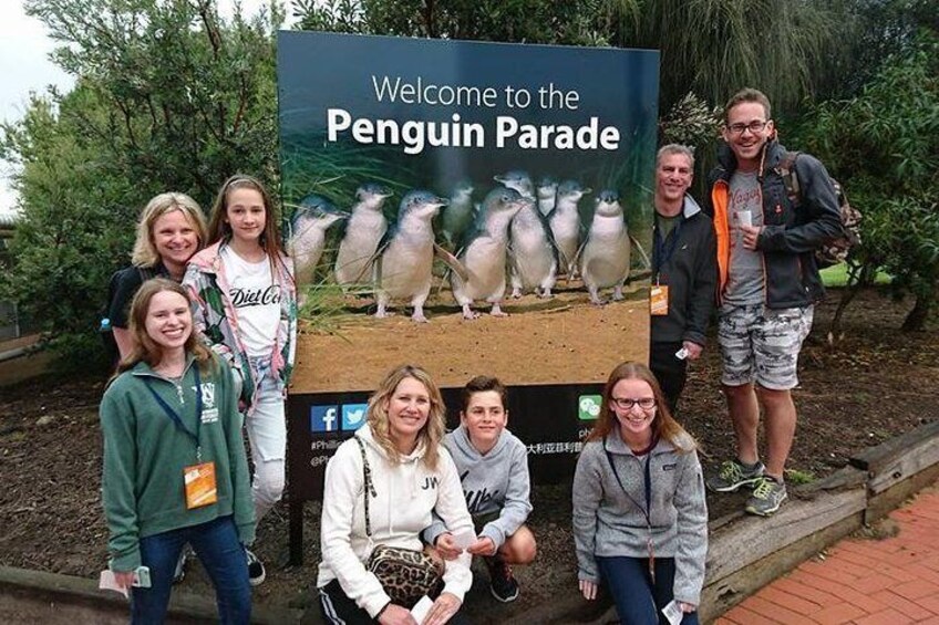 Welcome to the Penguin Parade Phillip Island