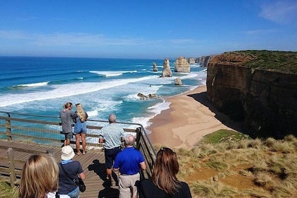 Great Ocean Road Medium Size Group Tour