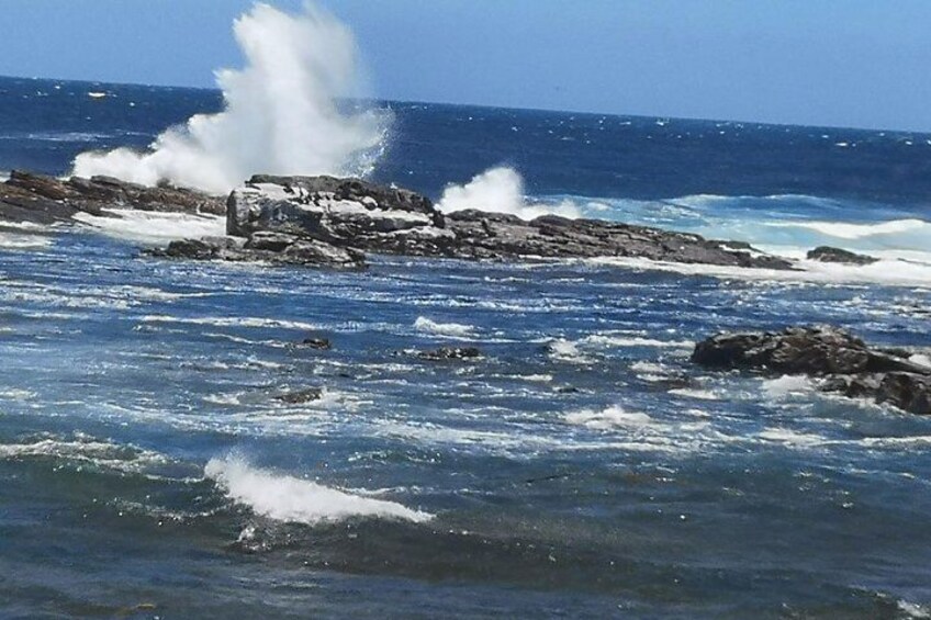 Beautiful waves at Cape of Good Hope