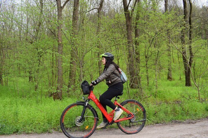 E-bike tours available