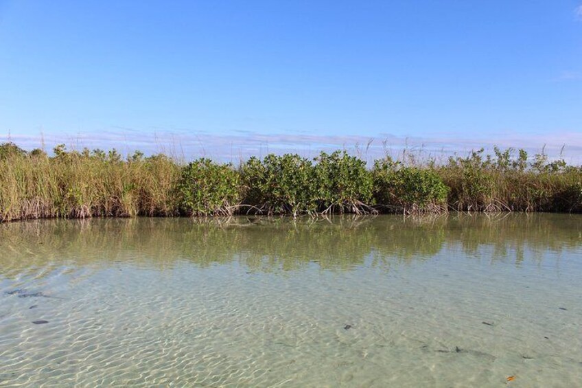 Private Sian Kaan Muyil Lazy River Tour